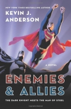 Cover art for Enemies & Allies: A Novel