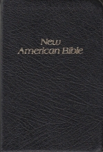Cover art for New American Standard Bible