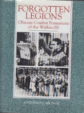 Cover art for Forgotten Legions: Obscure Combat Formations of the Waffen-SS
