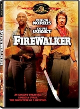 Cover art for Firewalker