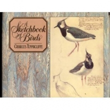 Cover art for A Sketchbook of Birds