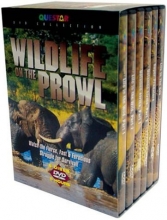 Cover art for Wildlife on the Prowl