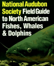 Cover art for National Audubon Society Field Guide to Fishes, Whales and Dolphins