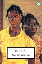 Cover art for Wide Sargasso Sea