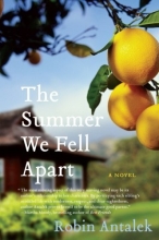 Cover art for The Summer We Fell Apart: A Novel