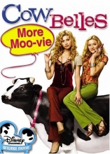 Cover art for Cow Belles