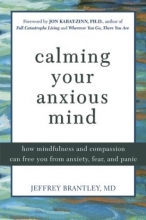 Cover art for Calming Your Anxious Mind: How Mindfulness and Compassion Can Free You from Anxiety, Fear, and Panic