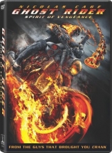 Cover art for Ghost Rider: Spirit of Vengeance 