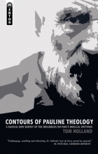 Cover art for Contours of Pauline Theology: A Paperback Edition