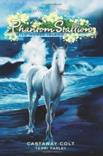 Cover art for Castaway Colt (Phantom Stallion: Wild Horse Island #4)