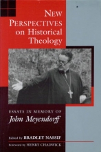Cover art for New Perspectives on Historical Theology: Essays in Memory of John Meyendorff