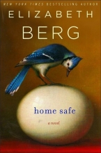 Cover art for Home Safe: A Novel
