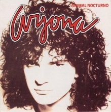 Cover art for Animal Nocturno