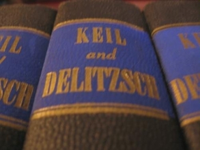 Cover art for Biblical Commentary on the Old Testament: 25 Volume Set