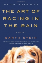 Cover art for The Art of Racing in the Rain: A Novel