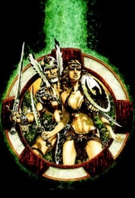 Cover art for The Warlord: The Saga