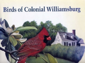 Cover art for Birds of Colonial Williamsburg: A Historical Portfolio