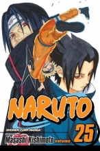 Cover art for Naruto, Vol. 25: Brothers