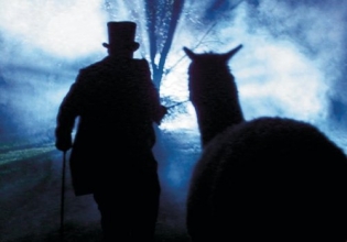 Cover art for Okonokos: The Concert