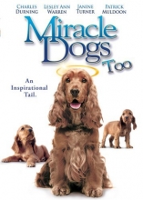 Cover art for Miracle Dogs Too