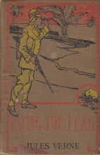 Cover art for Facing the Flag