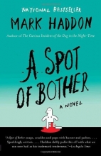 Cover art for A Spot of Bother (Vintage)
