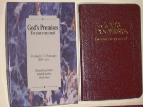 Cover art for God's Promises for Your Every Need