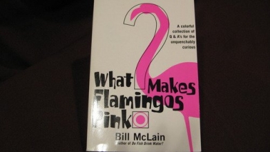 Cover art for What Makes Flamingos Pink