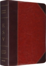 Cover art for ESV Study Bible (TruTone, Brown/Cordovan, Portfolio Design)