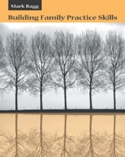 Cover art for Building Family Practice Skills: Methods, Strategies, and Tools