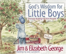 Cover art for God's Wisdom for Little Boys: Character-Building Fun from Proverbs
