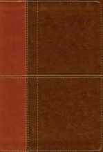 Cover art for NIV Life Application Study Bible