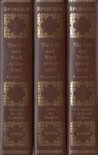 Cover art for The Life and Work of Our Lord