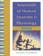 Cover art for Essentials of Human Anatomy and Physiology (6th Edition)