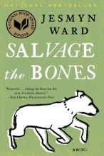 Cover art for Salvage the Bones (Series Starter, Bois Sauvage #1)