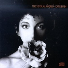 Cover art for Sensual World