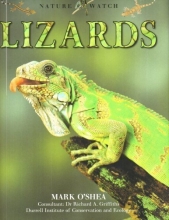 Cover art for Nature Watch - Lizards