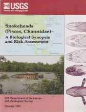 Cover art for Snakeheads (Pisces, Channidae: A Biological Synopsis and Risk Assessment (U.S. Geological Survey Circular, 1251)
