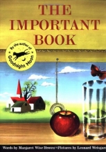 Cover art for The Important Book