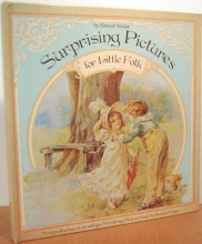 Cover art for Surprising Pictures