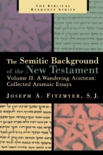 Cover art for A Wandering Aramaean: Collected Aramaic Essays (Semitic Background of the New Testament)
