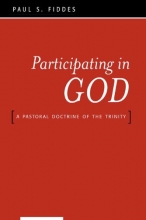 Cover art for Participating in God: A Pastoral Doctrine of the Trinity