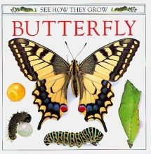 Cover art for See How They Grow: Butterfly