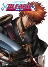 Cover art for Bleach, Volume 1: The Substitute 