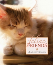Cover art for Feline Friends
