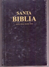 Cover art for Santa Biblia (Nueva Reina- Valera 2000)