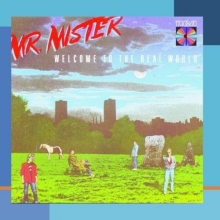 Cover art for Welcome To The Real World