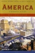 Cover art for America: A Narrative History (Brief Seventh Edition)  (Vol. One-Volume)