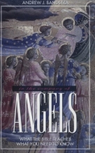 Cover art for In the Company of Angels: What the Bible Teaches, What You Need to Know