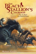 Cover art for The Black Stallion's Courage